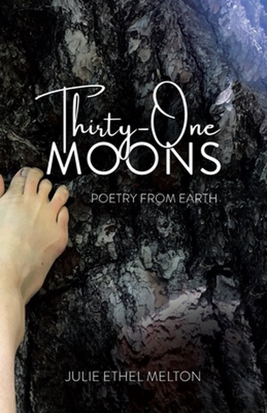 Thirty-One Moons - cover