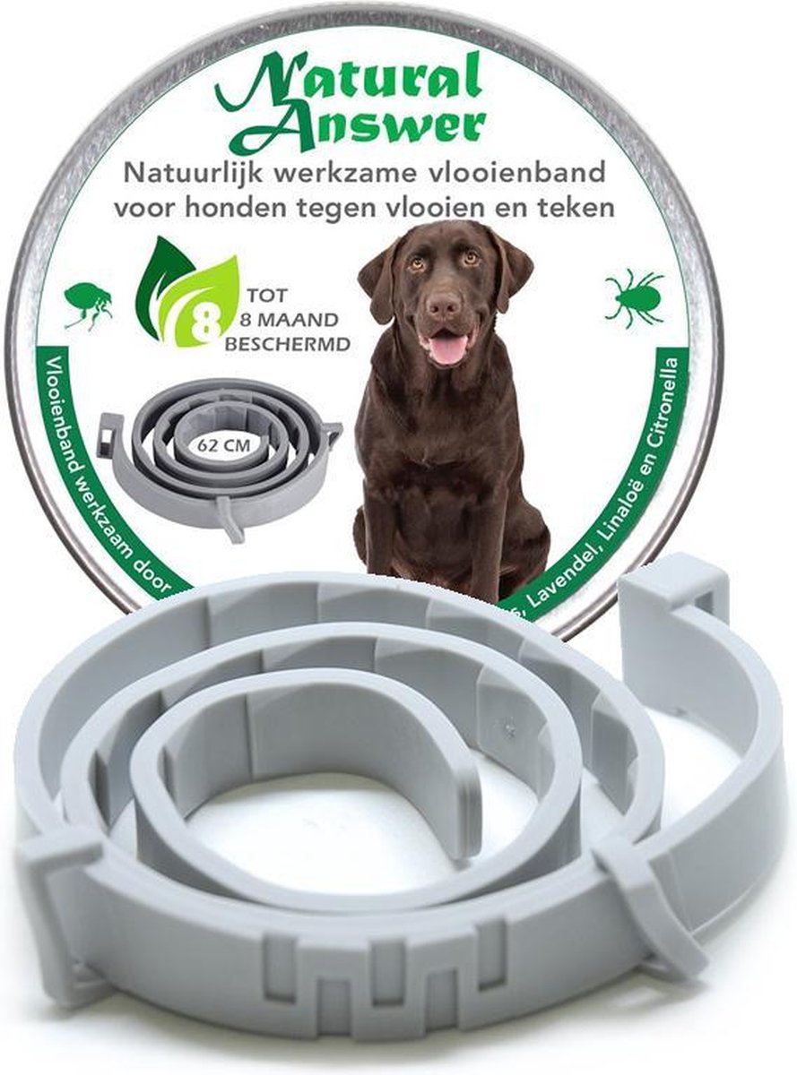 navigatie toenemen vorst Teken- en Vlooienband voor honden - Natuurlijk middel tegen vlooien -  Werkzaam door... | bol.com