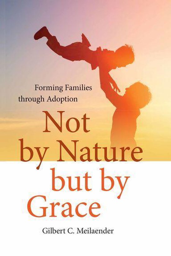 Catholic Ideas for a Secular World - Not by Nature but by Gr ... - cover