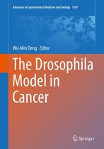 Advances in Experimental Medicine and Biology 1167 - The Drosophila Model in Cancer