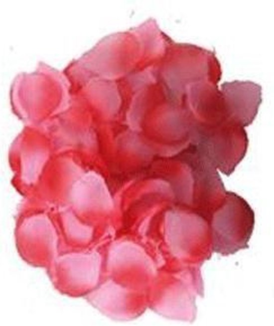 Paquet de pétales de rose rouge-rose | bol.com