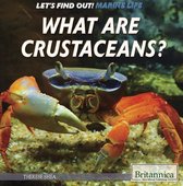 Let's Find Out! Marine Life - What Are Crustaceans?