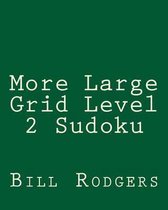 More Large Grid Level 2 Sudoku