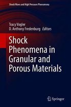 Shock Phenomena in Granular and Porous Materials