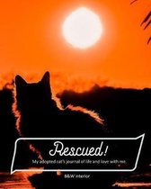 Rescued! My adopted cat's journal of life and love with me.