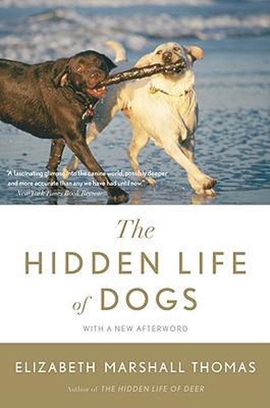 The Hidden Life of Dogs - cover
