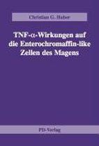 TNF-a-Wirkungen auf die Enterochromaffin-like Zellen des Magens