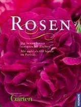 Rosen