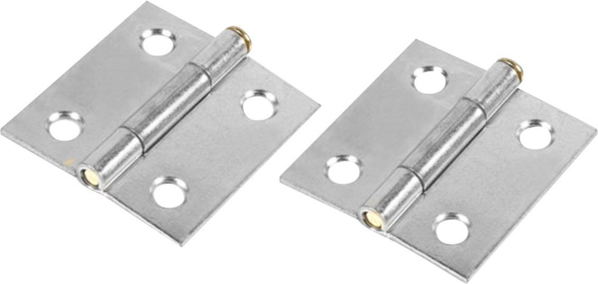 Qlinq Scharnier met Vaste Pen - Verzinkt - 40 x 32 mm - 2 Stuks