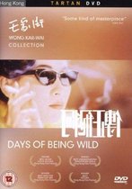 Days If Being Wild (1991) (DVD)