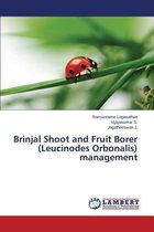 Brinjal Shoot and Fruit Borer (Leucinodes Orbonalis) Management