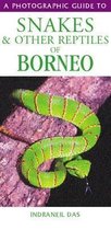 Snakes of Borneo