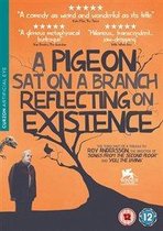 Pigeon Sat On A Branch Reflecting Upon Existence (DVD)