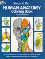 Human Anatomy Colouring Book PB