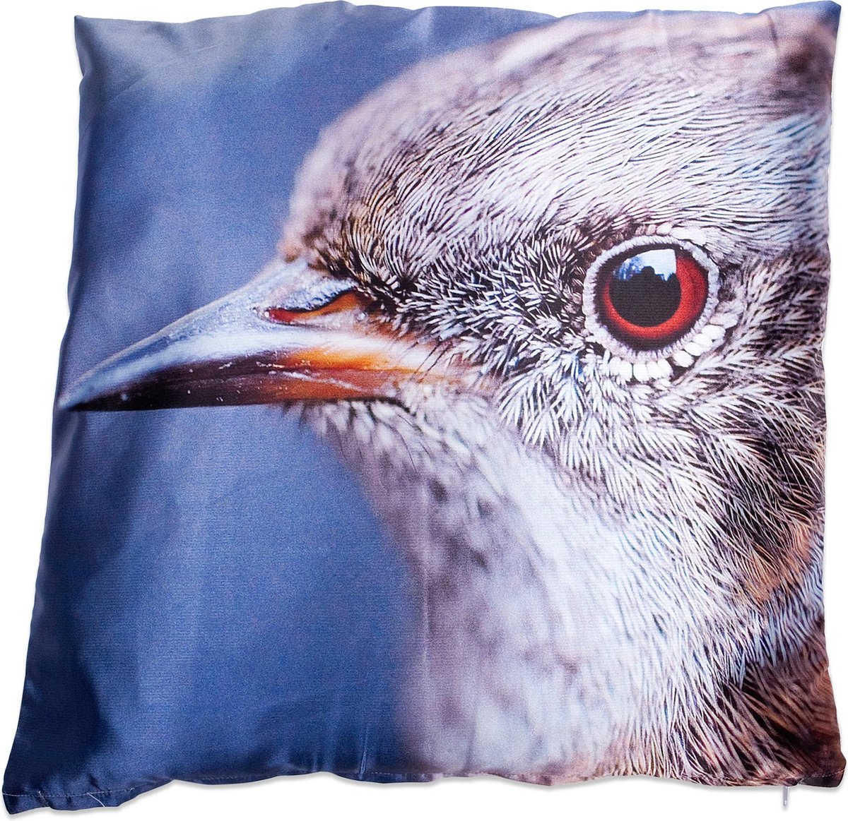 In The Mood Fotoprint Vogel - Sierkussen - 45x45 cm - Multi