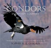 Condors in the Nineteenth Century