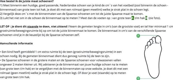 Elsa schoenen ijs blauw - Spaanse Prinsessen schoenen - maat 36 (binnenmaat 23 cm) bij verkleedkleren bruiloft feest