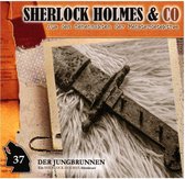 Sherlock Holmes & Co 37. Der Jungbrunnen (2. Teil)