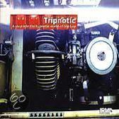 Tripnotic - A Step Into The Hypontic World Of Trip Hop