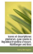 Icones Et Descriptiones Plantarum, Quae Sponte in Republica Argentina Crescunt. Abbildungen Und Besc
