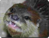 Otter Close up Muismat