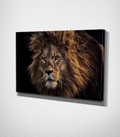 Lion Canvas | 70x100 cm