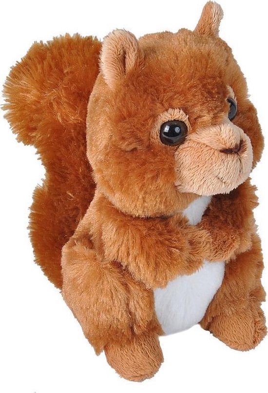 Pluche rode eekhoorn knuffel 18 cm - Eekhoorns bosdieren knuffels -  Speelgoed voor... | bol.com