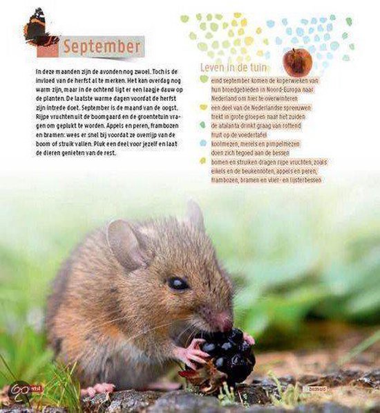 Tuinieren voor (wilde) dieren