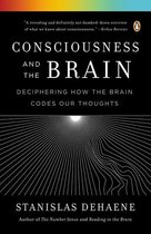 Summary for Consciousness: From Theory to the Clinic