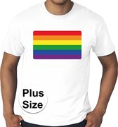 Grote maten regenboog vlag gay pride t-shirt wit heren 3XL