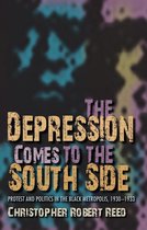 The Depression Comes to the South Side the Depression Comes to the South Side: Protest and Politics in the Black Metropolis, 1930-1933 Protest and Pol