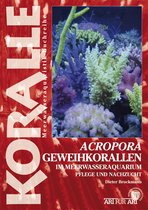 Art für Art - Acropora-Geweihkorallen im Meerwasseraquarium