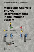 Molecular Analysis of DNA Rearrangements in the Immune System