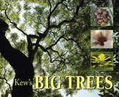 Kew's Big Trees
