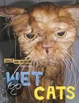 Stuff on My Cat Presents: Wet Cats