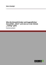 Wie Die Umwelt Kinder Und Jugendlichen Sexualitat 'Lehrt' Und Wie Es in Der Schule 'Richtig' Geht