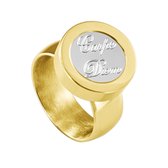 Quiges RVS Schroefsysteem Ring Goudkleurig Glans 18mm met Verwisselbare Carpe Diem 12mm Mini Munt