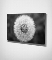 White Flower Canvas - 100 x 70 cm - Bloemen - Schilderij - Canvas - Slaapkamer - Wanddecoratie  - Slaapkamer - Foto op canvas