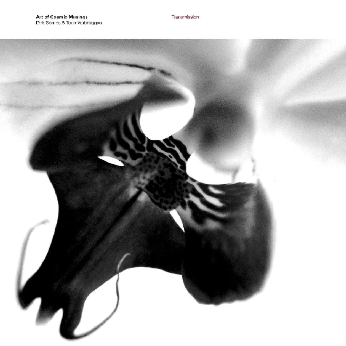 Art Of Cosmic Musings - Transmission (2 LP)