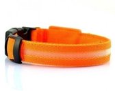 LED lichtgevende hondenhalsband | Maat XL | Oranje | REBL