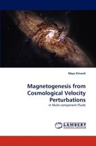 Magnetogenesis from Cosmological Velocity Perturbations