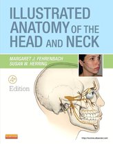 Illustrated Anatomy of the Head and Neck