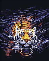 Schilderen op nummer tijger 40 x 50 cm
