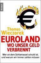 Euroland: Wo unser Geld verbrennt