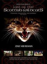 Last Of The Scottish  Wildcats