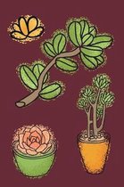 Succulents