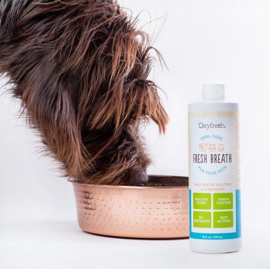 OxyFresh Pet Mondwater Hond en Kat. Helpt tegen tandsteen, plak en vieze ademgeurtjes - OxyFresh Pets