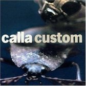Custom IX Project-