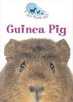 I Am Your Pet- Guinea Pig