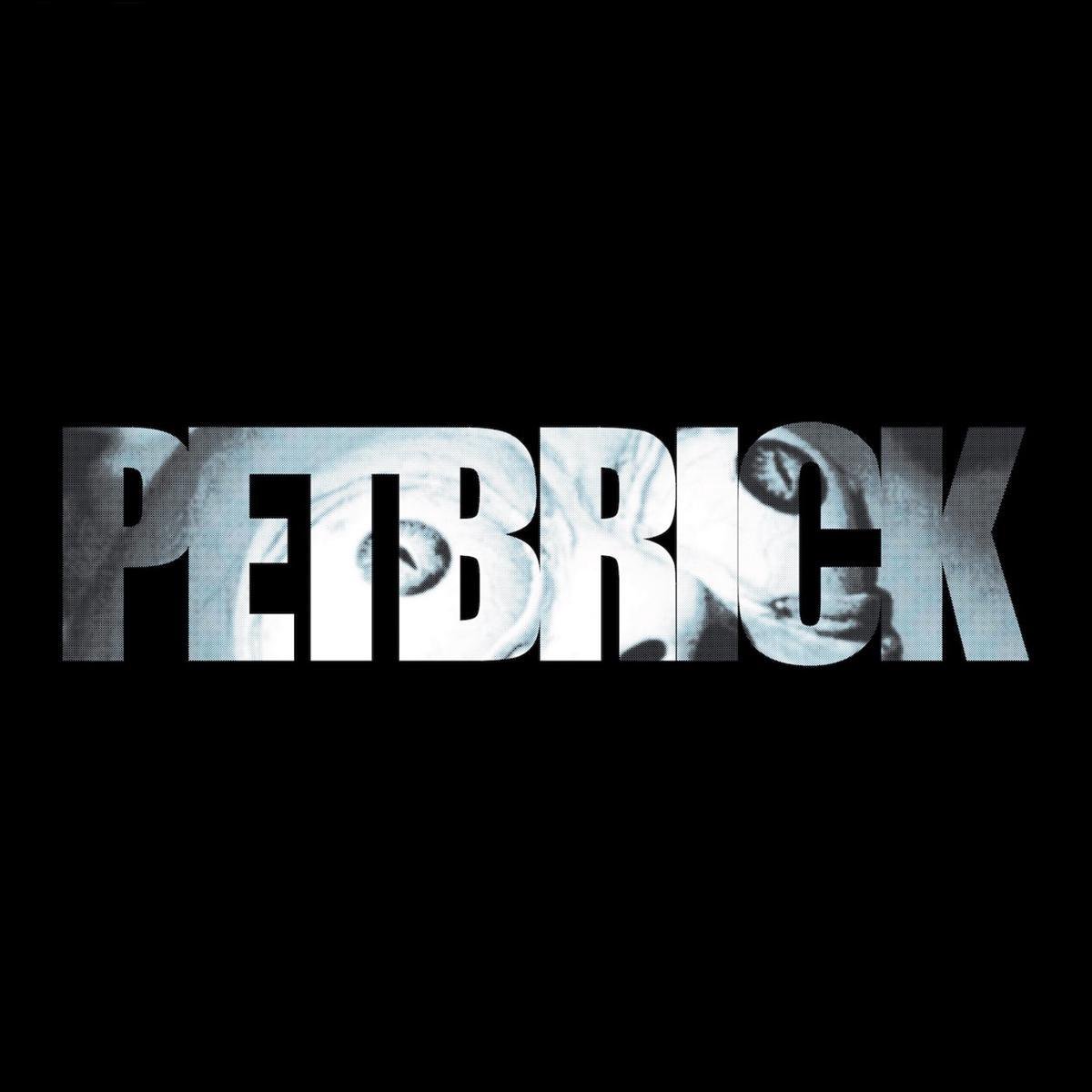 Petbrick